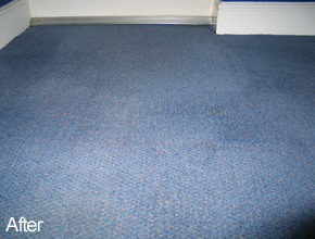 Domestic Carpet Cleaning - Ayrshire & Glasgow