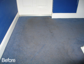 Domestic Carpet Cleaning - Ayrshire & Glasgow